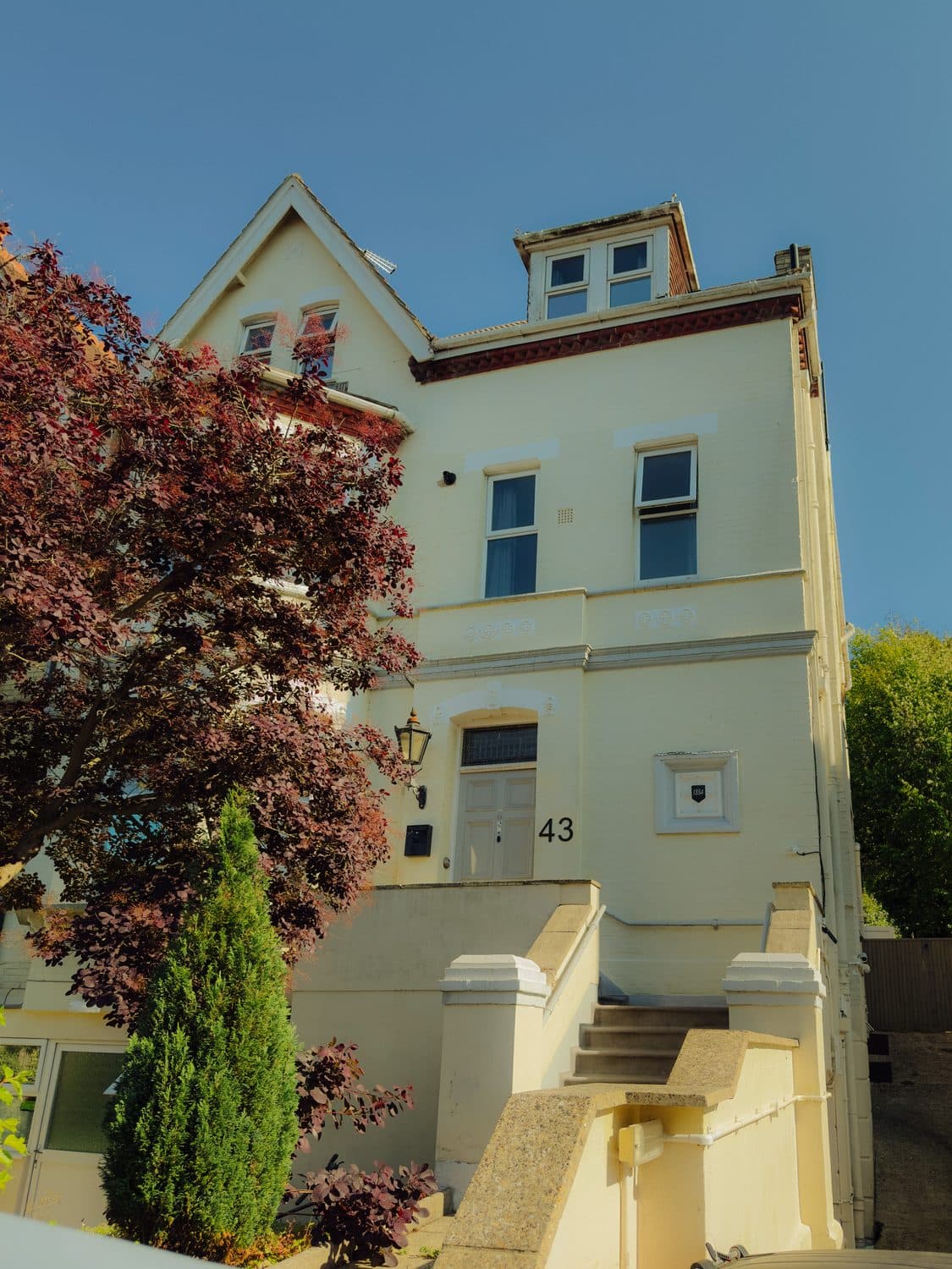Little Acorns